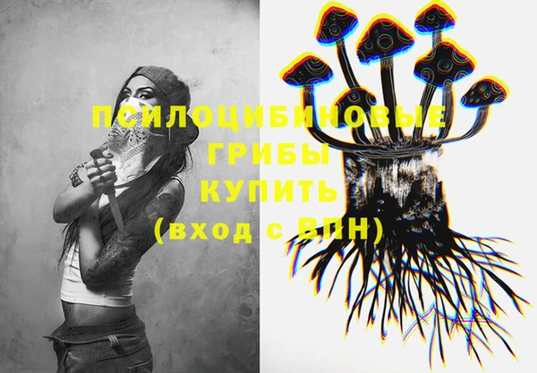 стафф Богданович