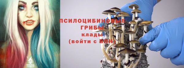 меф Богородицк