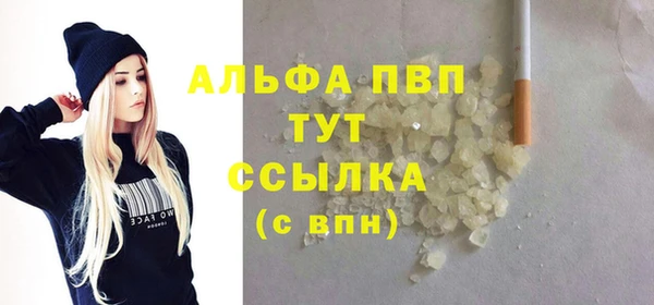 стафф Богданович