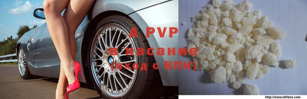 стафф Богданович