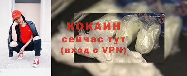 стафф Богданович