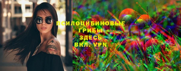 меф Богородицк