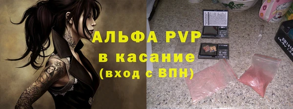 стафф Богданович
