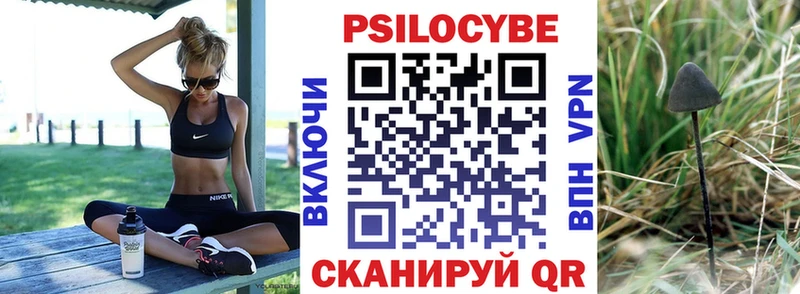 купить сайты Бузулук Галлюциногенные грибы Magic Shrooms